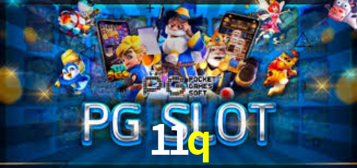 Interface Premium 11q